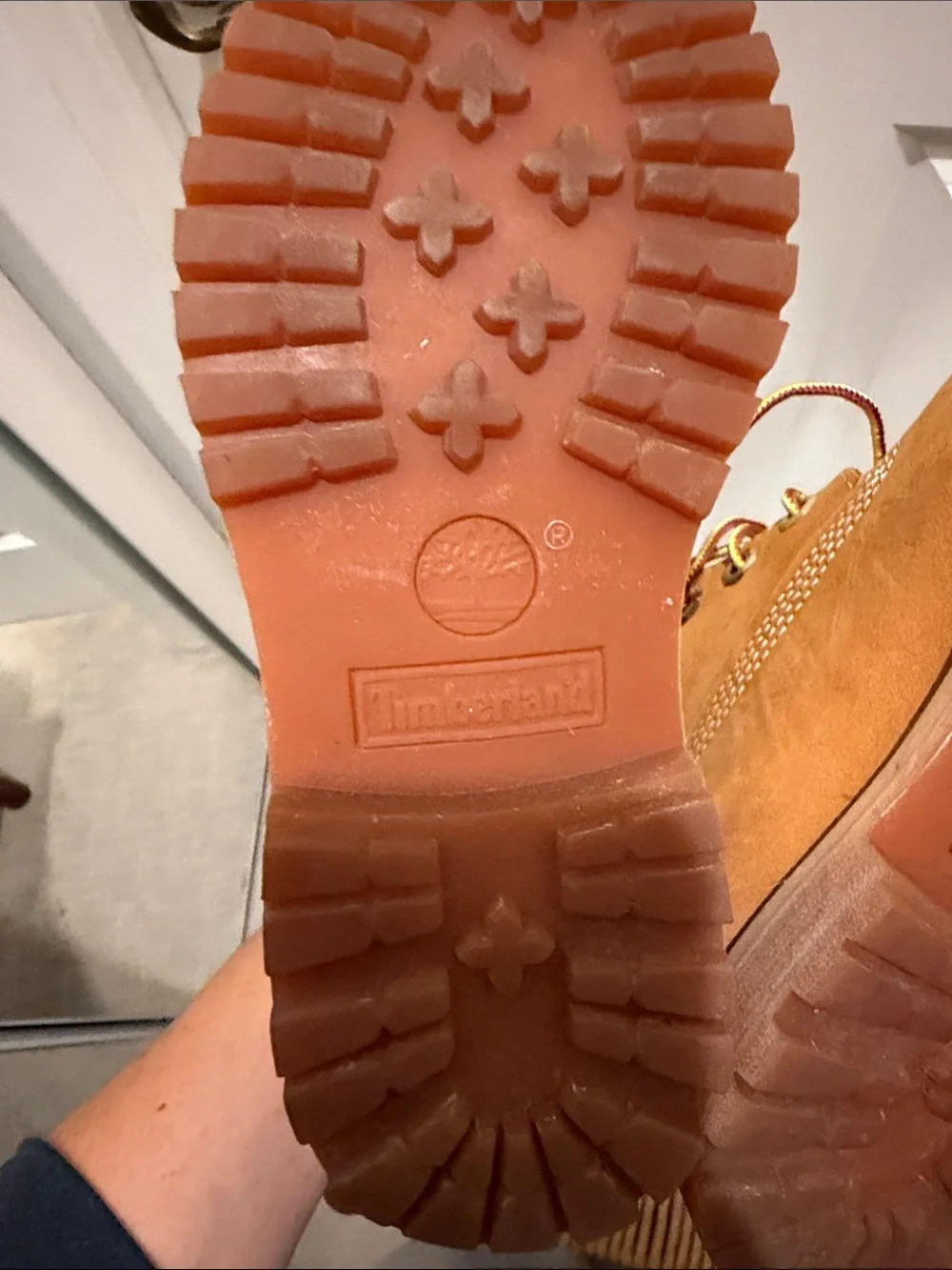 Timberland Wheat Nubuck Boots with Black Collar size 5M